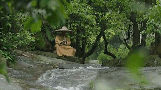 廣州竟藏著江南式禪修小院庭院論道禪房打坐還能養(yǎng)生SPA！