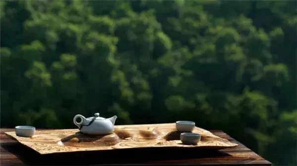 廣州竟藏著江南式禪修小院庭院論道禪房打坐還能養(yǎng)生SPA！