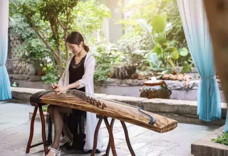 廣州竟藏著江南式禪修小院庭院論道禪房打坐還能養(yǎng)生SPA！