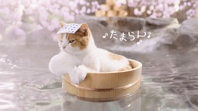 香薰池紅酒泉百花池……盤點上海周邊那些美容養(yǎng)顏的溫泉