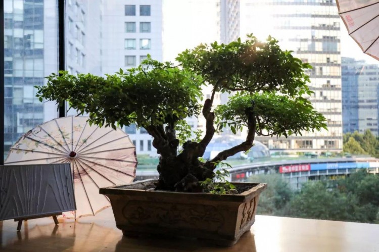 一秒穿越京都！帝都驚現(xiàn)網(wǎng)紅日式SPA館給你星級(jí)體驗(yàn)！限時(shí)秒殺