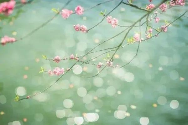音對(duì)風(fēng)浪！足不出戶告別emo這個(gè)SPA在線領(lǐng)取→