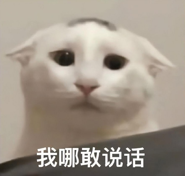 最近很火的上門按摩平臺(tái)感覺快要黃了