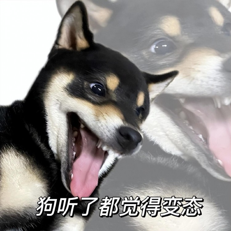 最近很火的上門按摩平臺(tái)感覺快要黃了