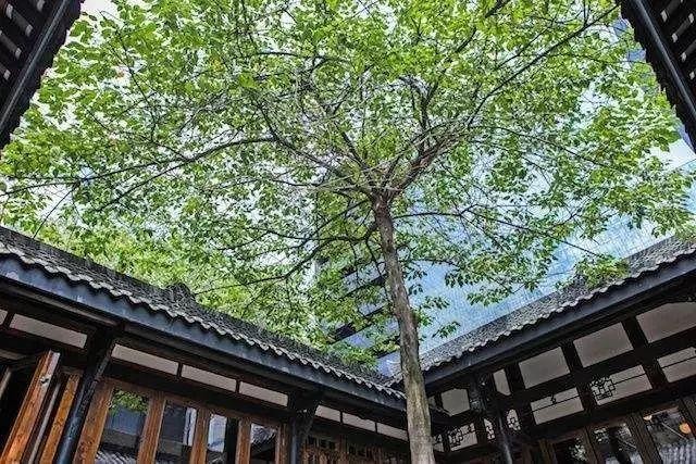 隱進(jìn)川西院落嘗味成都人的安逸慵懶