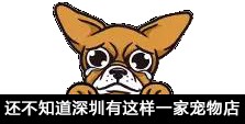 「廣東深圳」愛(ài)寵來(lái)啦！給淘氣寵兒做個(gè)SPA吧！