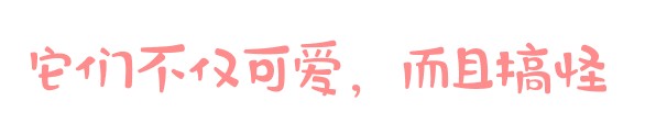「廣東深圳」愛(ài)寵來(lái)啦！給淘氣寵兒做個(gè)SPA吧！