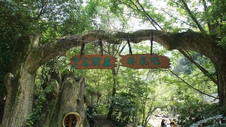 浙江哪里空氣最清新杭州這兩個(gè)地方入選！走去做氧氣SPA！