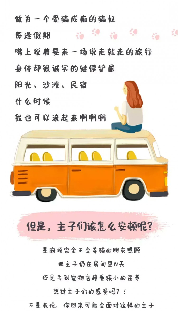 喵生贏家！杭州這家貓民宿24小時(shí)直播！5星級(jí)貓房！還能做貓SPA