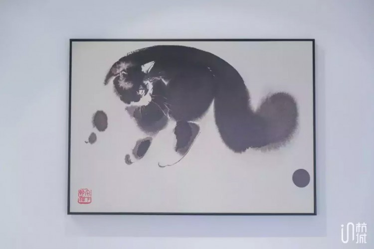 喵生贏家！杭州這家貓民宿24小時(shí)直播！5星級(jí)貓房！還能做貓SPA