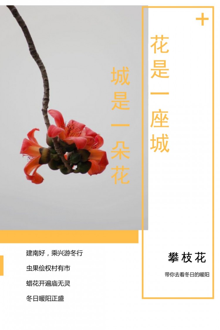 已開！成都的專屬避寒圣地好吃好耍還有陽光spa