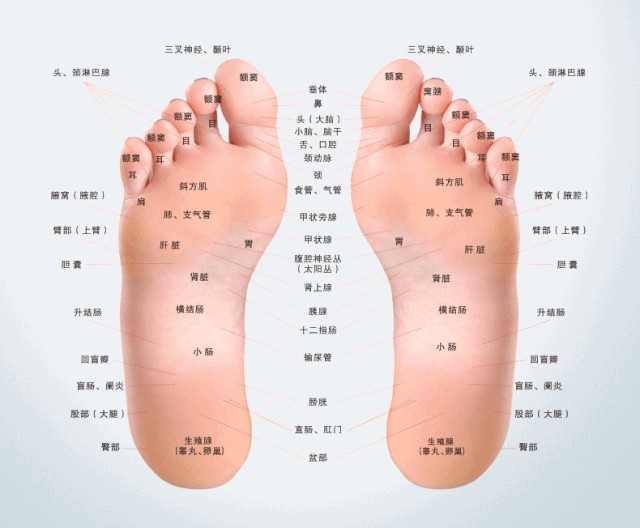 杭州一豪華足浴養(yǎng)生會所開業(yè)單人洗浴+搓背+足道全家來打卡