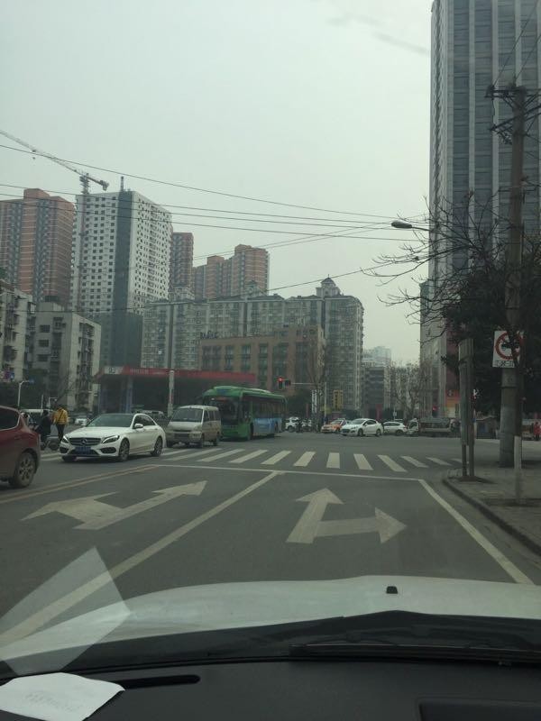 武漢天太冷車里住進流浪貓！熱心網友將其送去做暖身spa！