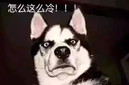 春節(jié)怎么玩小光告訴您！武漢周邊好玩的溫泉滑雪大揭秘