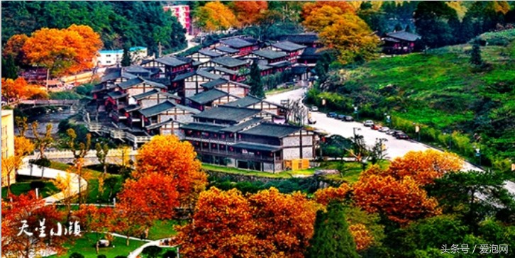 重慶唯一處在5A景區(qū)里的溫泉——南川金佛山天星國際溫泉城