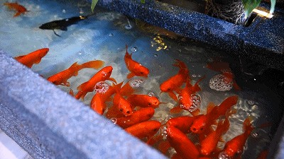 一次get「洗澡＋搓澡＋足療」這家過(guò)冬必去會(huì)所！性價(jià)比逆天咯