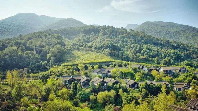重慶北碚悅榕莊|山居泡溫泉醉臥松林間