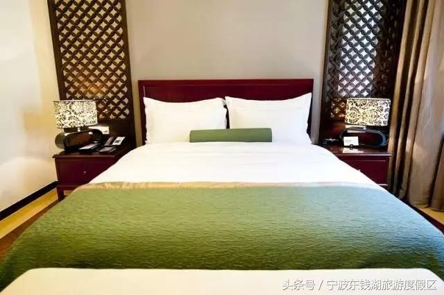 花訊播報泡湯賞花SPA住客房只在南苑花博園！