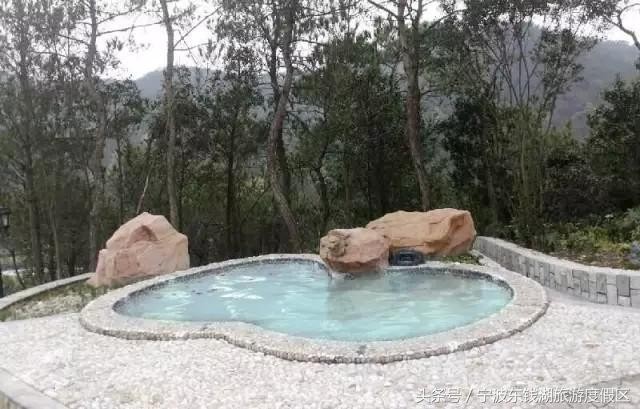 花訊播報泡湯賞花SPA住客房只在南苑花博園！