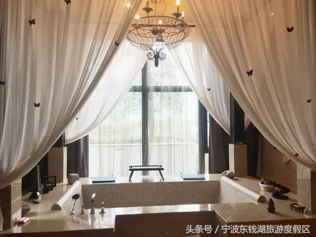 花訊播報泡湯賞花SPA住客房只在南苑花博園！