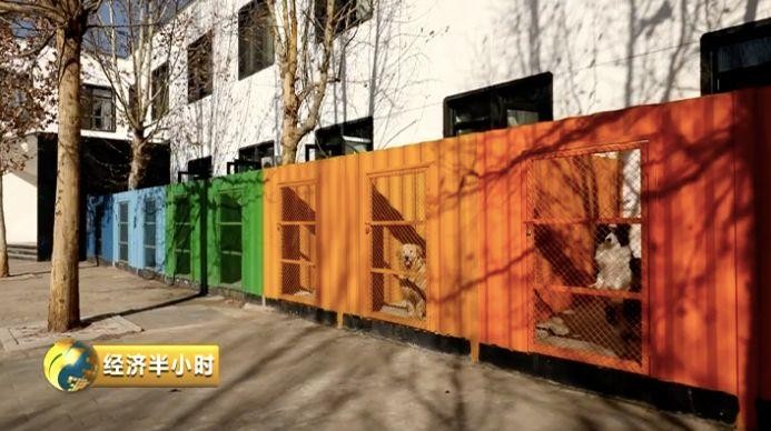 為寵物開酒店電影院美容院……一個超1700億元的大市場爆發(fā)！