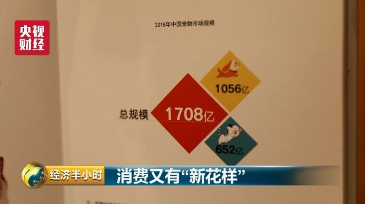 為寵物開酒店電影院美容院……一個超1700億元的大市場爆發(fā)！
