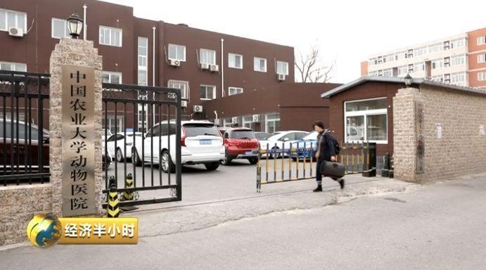 為寵物開酒店電影院美容院……一個超1700億元的大市場爆發(fā)！