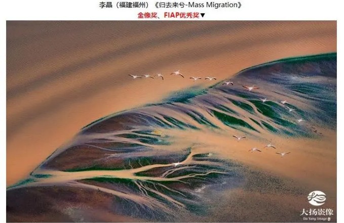 李晶：15年！極具藝術(shù)情懷的美業(yè)深耕者……