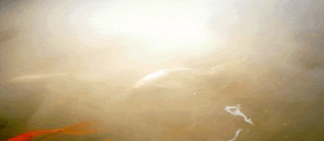 2020年養(yǎng)生充電站在這完成一場(chǎng)自我療愈從頭爽到腳