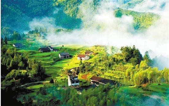 堅(jiān)守生態(tài)二十載泰順打造養(yǎng)生幸福地