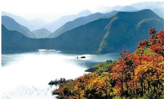 堅(jiān)守生態(tài)二十載泰順打造養(yǎng)生幸福地