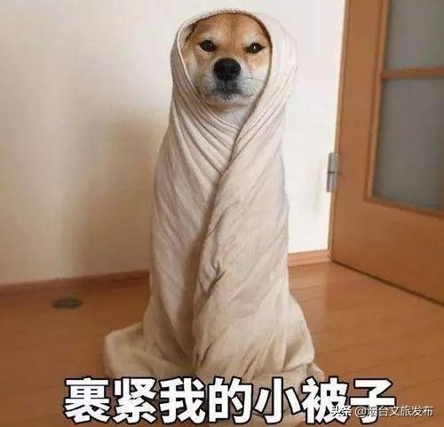 舒服！秋意漸濃養(yǎng)生季就來(lái)泡湯吧~