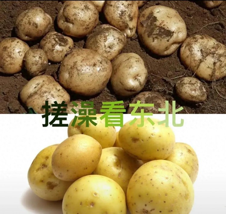 東北洗浴新熱潮：哈爾濱溫泉繁榮引南方游客追捧