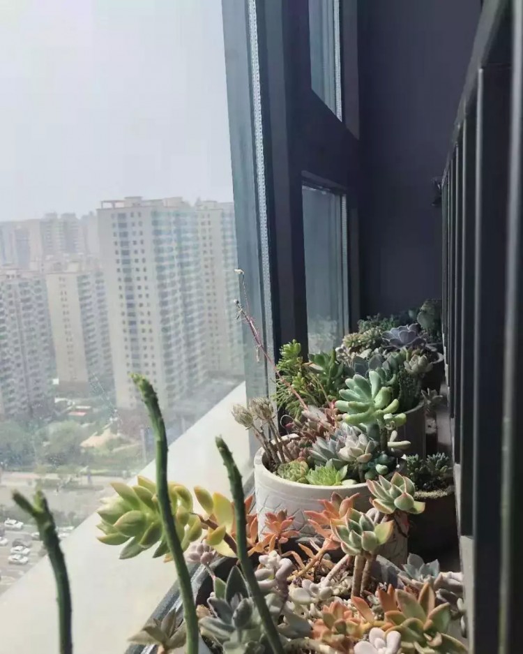5折！太原妹子注意啦！變身女神的秘密！都在這......