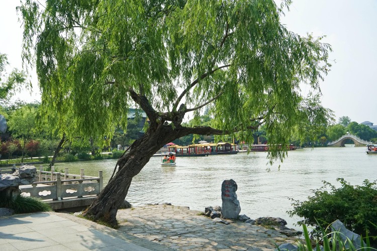 重慶妹子到揚(yáng)州旅游，128元體驗(yàn)揚(yáng)州搓背，驚嘆揚(yáng)州人太享受了