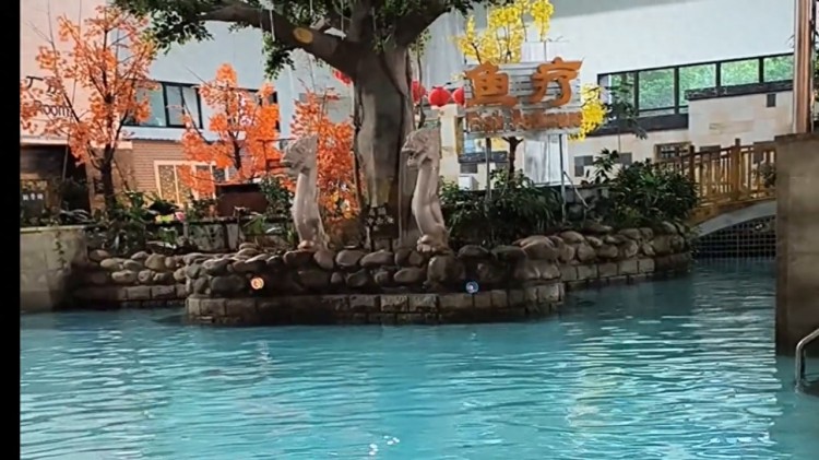 感受冬日的舒適，去一次有溫度的旅行