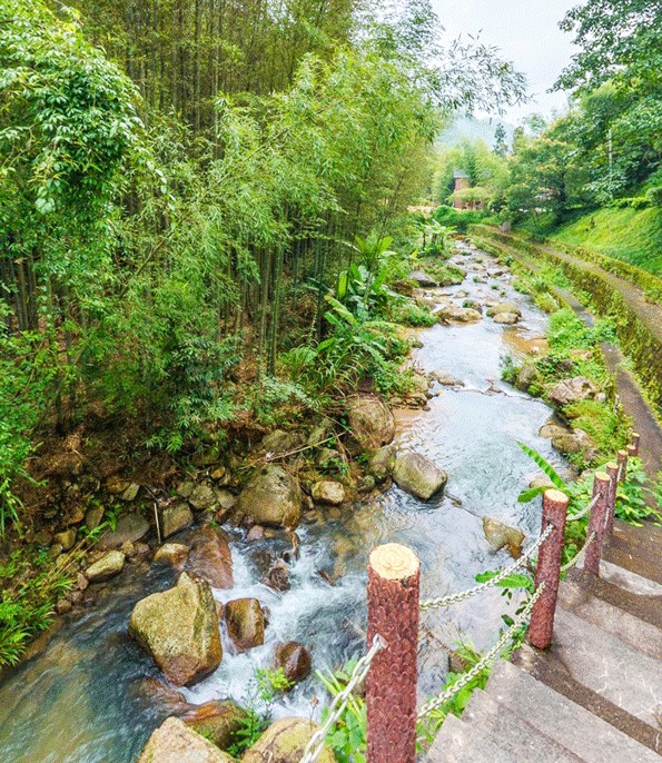 廣東南昆山森林夏季SPA之旅水上樂園+山泉水泳池