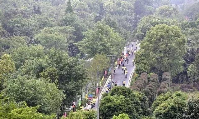 高溫橙色預警來了！別怕金華這些地方帶你找回25℃的清涼！