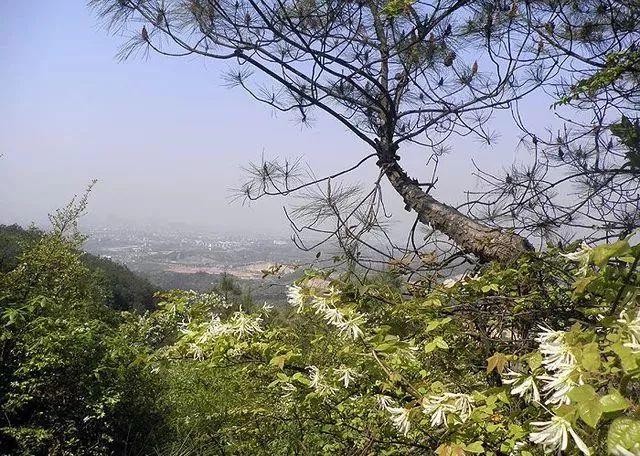 高溫橙色預警來了！別怕金華這些地方帶你找回25℃的清涼！