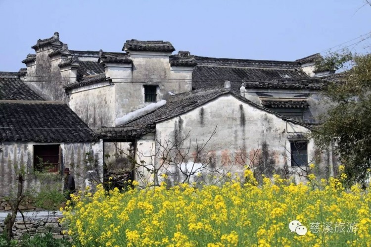 秋冬時(shí)節(jié)不要錯(cuò)過慈溪這三條養(yǎng)生旅游線路