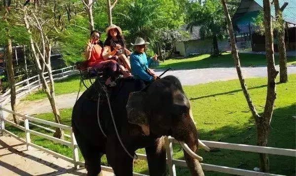 「娛樂篇」榆林直飛泰國就得這么玩泰嗨了！