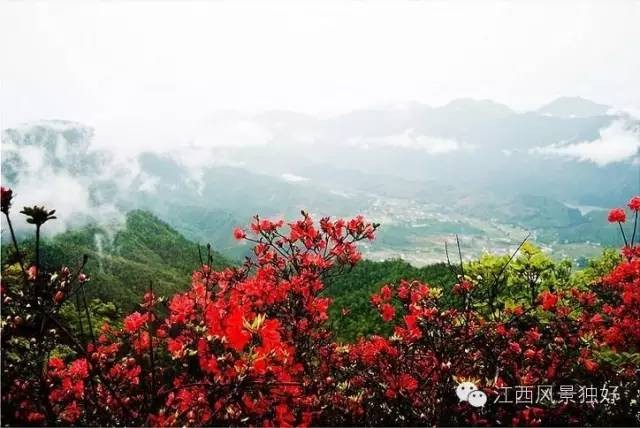 2020年百家江西康養(yǎng)旅游打卡地之贛州篇