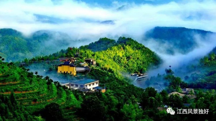 2020年百家江西康養(yǎng)旅游打卡地之贛州篇
