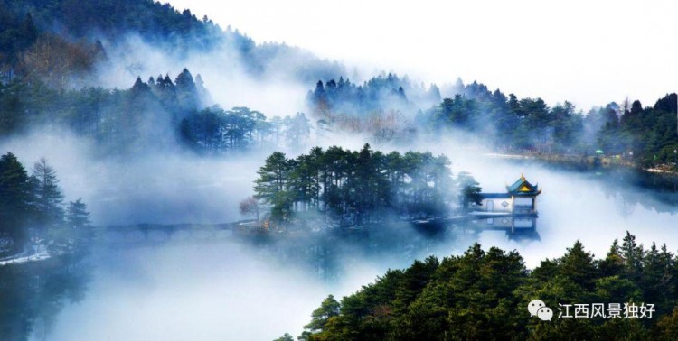 【國慶假期如何玩九江篇】悠然廬山，自由九江三日游