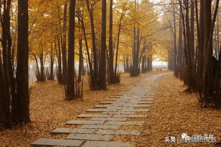 天涼了告別秋燥溫泉養(yǎng)生約起來吧！