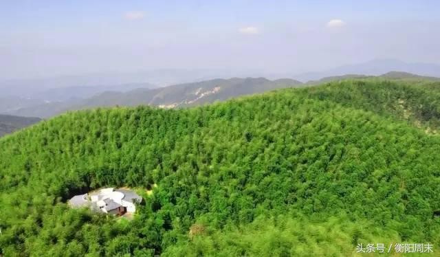 深呼吸！去九峰山湘南大竹海做個肺部SPA！