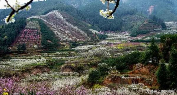 深呼吸！去九峰山湘南大竹海做個肺部SPA！