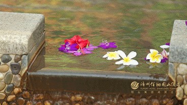 霜降御寒保暖宜泡湯這個超大的溫泉公園就在漳州市區(qū)！