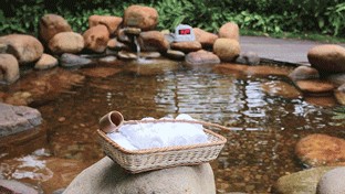 霜降御寒保暖宜泡湯這個超大的溫泉公園就在漳州市區(qū)！