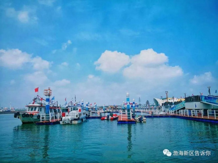 五一去哪里滄州這些網(wǎng)紅之地等你來打卡